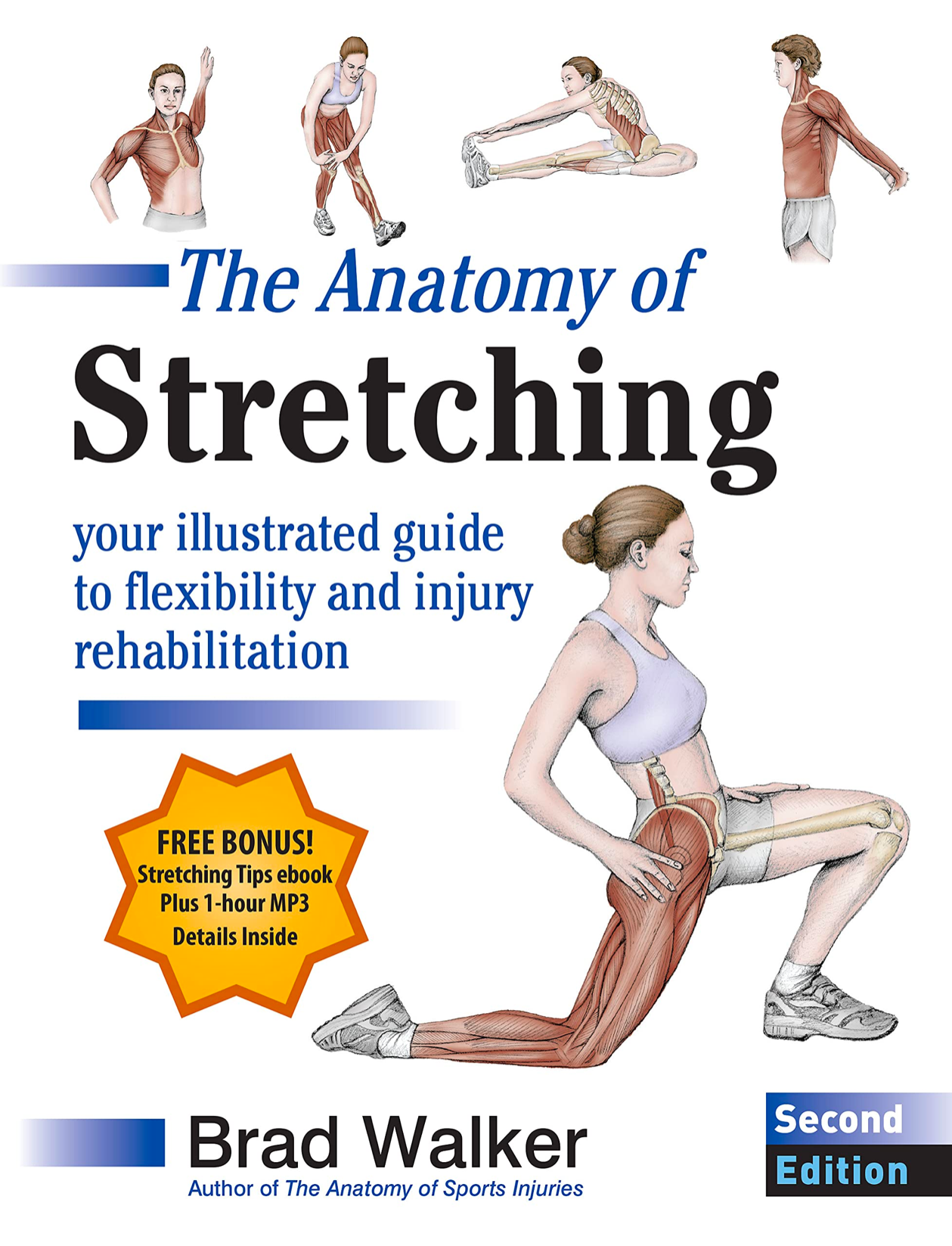 The Anatomy of Stretching by Brad Walker